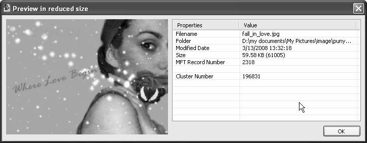File Scavenger Data Recovery Gambar 6.28. Tampilan Sebuah Image 5. Untuk keluar dari kotak dialog tersebut, klik tombol OK.