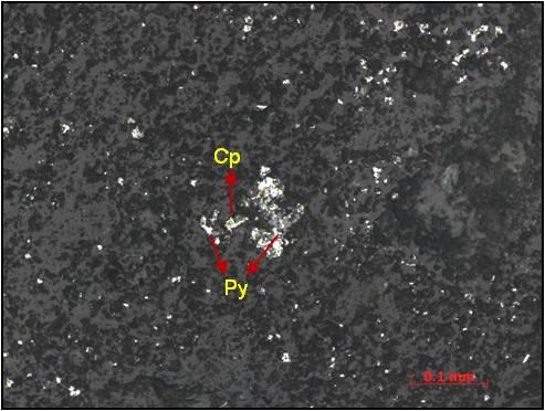Sedangkan paragenesa mineral tersebut sebagai berikut : Paragenesa: Pirit Sphalerit Kalkopirit Hydrous Iron Oxide Komposisi (% volume): Pirit (7), Sphalerit (trace), Kalkopirit (trace), Hydrous Iron