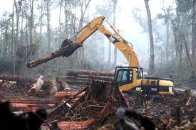55 - Penggundulan hutan yang menyebabkan hilangnya perakaran 11. Gambar di samping dapat mengakibat -kan terjadinya.... a. Erosi dan banjir b. Gempa bumi c. Puting beliung d. Angin topan 12.