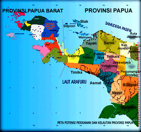 Gambaran Umum Provinsi Papua HASIL DAN PEMBAHASAN Gambaran Umum Wilayah Penelitian Gambar 4 Peta Provinsi Papua Papua merupakan provinsi yang terletak di wilayah paling timur Indonesia.