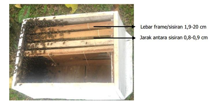 e. Kotak sarang juga dapat ditempatkan pada tanah, menggantungkannya pada batang pohon, atau ditempatkan diatas dudukan (standar). f.