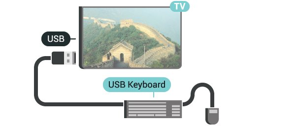 USB tersambung secara permanen. Apa yang Anda Perlukan Jika Anda menyambungkan Hard Drive USB, Anda dapat menjeda atau merekam siaran TV digital (siaran DVB atau semacamnya).