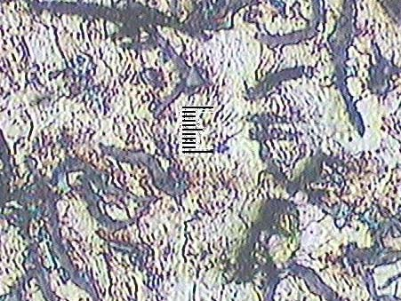 75 Grafit 0 µm Perlit Gambar 36.
