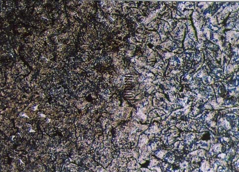 81 f. Struktur mikro batas antara HAZ dengan logam induk 100 µm Daerah HAZ Logam induk Gambar 43.