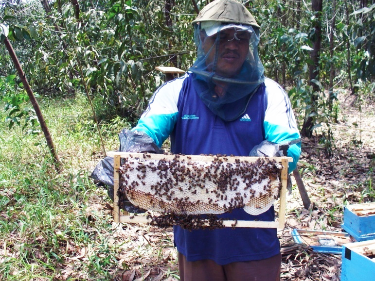 38 Aplikasi Dalam proses analisis kelayakan usaha lebah madu dilakukan kajian di 3 perusahaan, yaitu: Pusbahnas (Pusat Perlebahan Nasional) di Bogor, Unit Pelaksana Pengembangan Perlebahan Gunung