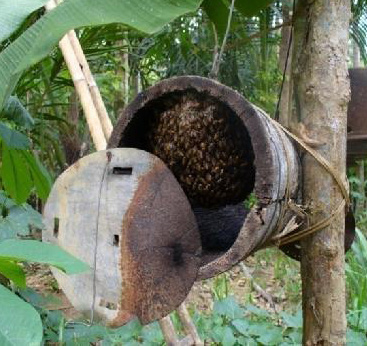 pakan lebah madu. Dengan demikian perlebahan merupakan jenis kegiatan yang dapat memberikan nilai tambah terhadap budidaya tanaman.