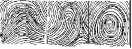 9 Karakteristik sidik jari yang bersifat global terlihat sebagai pola garis-garis alur dan orientasi dari garis alur tersebut pada kulit.
