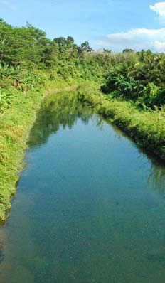 Pada tahun 2005 jumlah DAS kritis di seluruh Indonesia menjadi 62 sungai. Jumlah ini bertambah sebanyak 23 sungai dari kondisi tahun 1992 dimana terdapat 39 sungai.