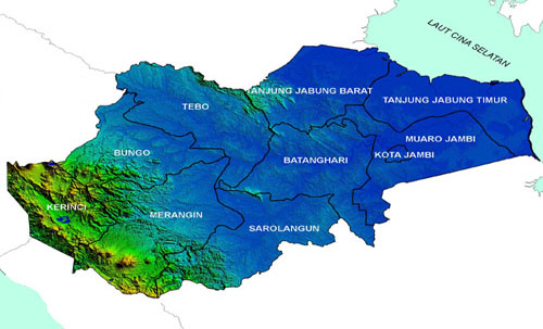46 Gambar 4. Kondisi Topografi Wilayah Provinsi Jambi (PIK Jambi, 2009) Jenis tanah di Provinsi Jambi secara umum didominasi oleh Podsolik Merah Kuning (PMK) yaitu sebesar 44,56%.