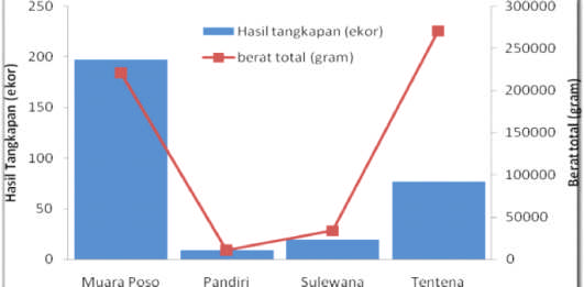 J. Kebijak.Perikan.Ind.Vol.7 No.1 Mei 2015: 37-44 Gambar 2.Distribusi ukuran ikan sidat yang tertangkap wayamassapi pada tahun 2010 (Krismono & Kartamihardja, 2012). Figure 2.