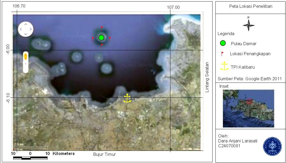11 3. METODE PENELITIAN 3.1. Waktu dan Lokasi Penelitian Ikan contoh diambil dari TPI Kalibaru mulai dari bulan Agustus sampai dengan bulan November 2010 yang merupakan hasil tangkapan nelayan Teluk