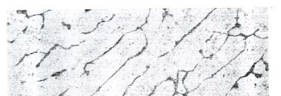 Mikrostruktur daerah batas antara HAZ logam induk dengan daerah lasan Gambar 6. Mikrostruktur pada daerah Gambar 5.