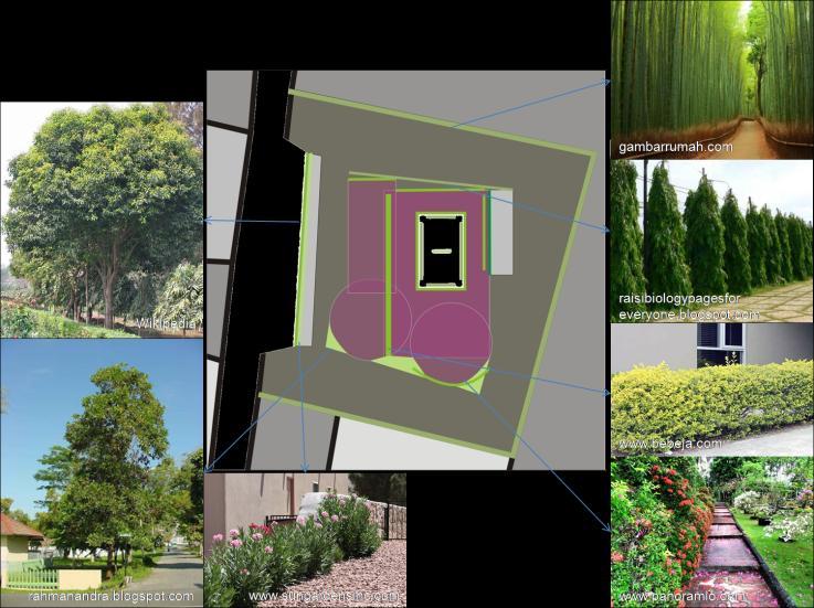 Gambar 4.2-6 Jenis vegetasi pada site Sumber : diolah dari berbagai sumber 4.3 