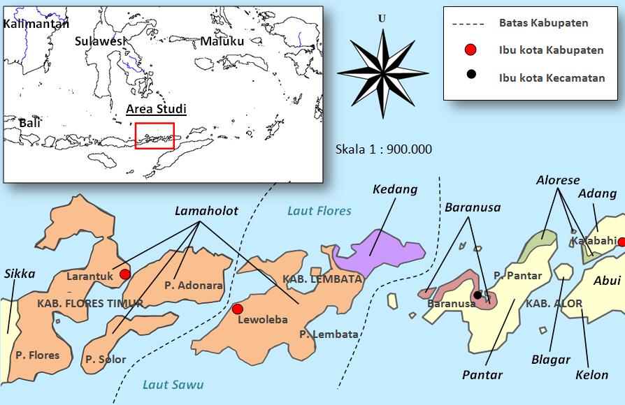 3 Gambar 1. Wilayah tutur bahasa Lamaholot (Flores Timur, Adonara, Solor, Lembata bagian barat), bahasa Kedang (ujung timur Pulau Lembata), dan Baranusa (sebagian Pulau Pantar).