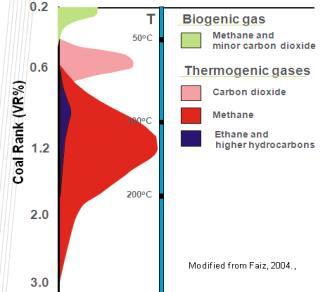 dalam pori-pori selama masa peman. Gas Metana terbentk melalu 2 tahap yaitu tahap biogenik dengan kisaran nilai Ro < 0.4 % dan tahap thermogenik dengan nilai Ro> 0.