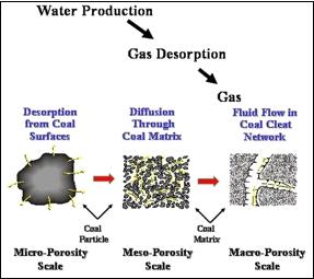 Diagram hubungan coal rank dengan gas metana yang terbentuk (kiri), Pori yang terbentuk pada sebagai tempat terakumulasinya gas metana (kanan) (Handout Indonesia CBM