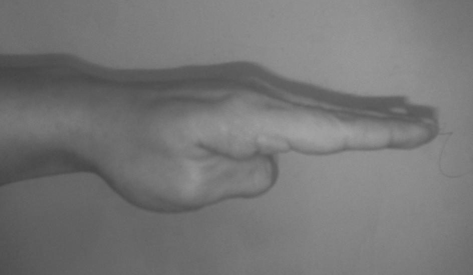 b. Haito (tangan bubungan) Haito menggunakan sisi berlawanan dari tangan dari yang digunakan di tangan-pisau.