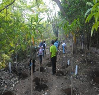 Manfaat keberadaan ekosistem mangrove antara lain: a. menjaga kestabilan garis pantai dan sungai dari erosi/abrasi; b. menahan sedimen dari darat; c.