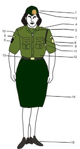 6 : Profil Pakaian Dinas Harian (PDH) Wanita 1. Topi harian 2. Emblim Polhut 3. Baju kaos 4. Tanda pangkat 5. Tanda Polda 6. Tanda wilayah Polda 7. Tanda instansi (BBKSDA/TN, BKSDA/TN) 8.