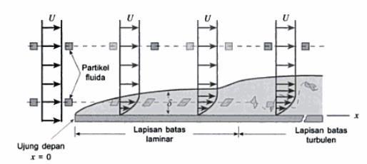 Gambar Boundary layer dapat dilihat seperti gambar 2.2 sebagai berikut ini: Gambar 2.2 Boundary Layer (Sumber :Anderson, 2005) 3.