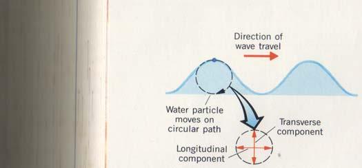 artinya pada gelombang air, terdapat komponen transversal maupun longitudinal, karena partikel air di