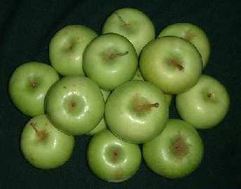 Gambar 5. Apel Manalagi Menurut Sunarjono (2005), selain sebagai buah segar untuk buah meja (cuci mulut), buah apel mempunyai nilai tinggi sebagai minuman (jus).