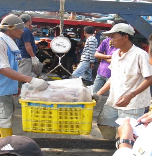 Petugas pencatat tersebut juga menuliskan berat ikan hasil tangkapan ke secarik kertas dan diletakkan di atas ikan yang berada dalam keranjang.