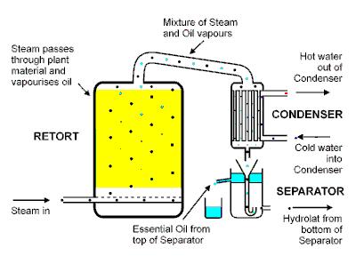 Steam Distillation for the Extraction of Essential Oils Extraction: Liquid liquid Extraction Transfer