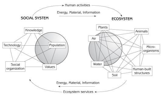 Sosial system merupakan konsep inti dari ekologi manusia atau ekologi masyarakat karena setiap aktivitas manusia member dampak pada ekosistem dan memberi pengaruh yang kuat kepada lingkungan