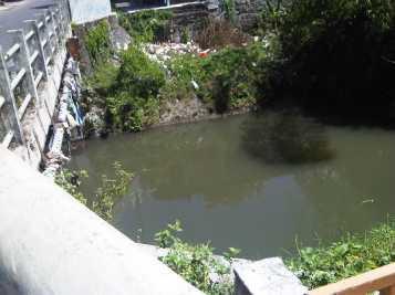5. Sungai Gajah Wong Pemantauan sungai Gajah Wong dilakukan pada bulan April 2014 dengan sasaran 2 lokasi titik pantau dari sungai bagian hulu di Bodon Jagalan Banguntapan dan sungai bagian tengah di