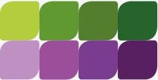 Logotype menggunakan modifikasi dari typeface Century Schoolbook Bold. Color Palette Warna yang digunakan adalah 4 step warna dari hijau dan ungu.