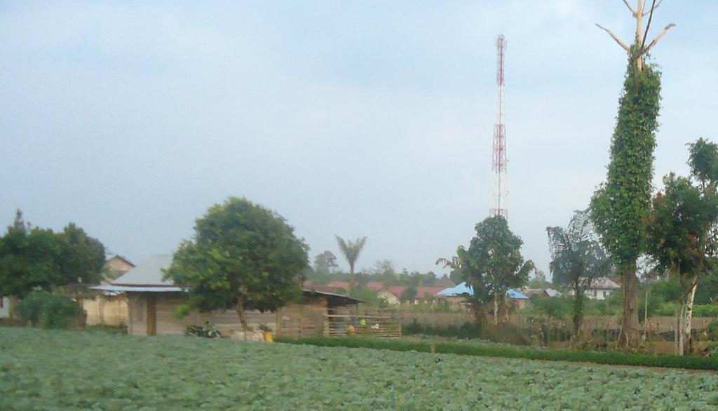 4 Gambar 2. Perubahan lahan pertanian sayuran menjadi pemukiman di Desa Padang Cahya.
