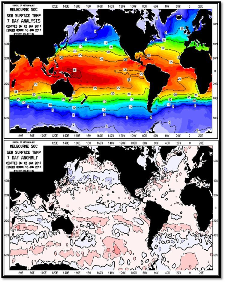 Gambar 3. SST dan anomali perairan Indonesia tanggal 13 Januari 2017 (Sumber : www.bom.gov.au) A.2 ENSO (El Nino South Osciilation) Berdasarkan data indeks Nino 3.