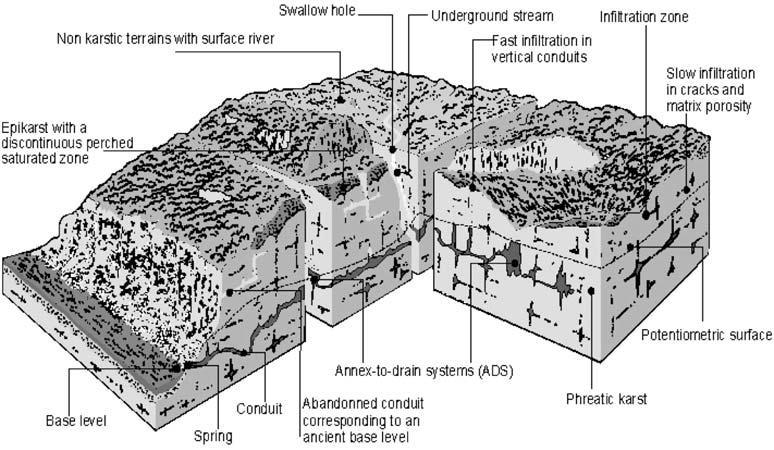 spesifik diungkapkan oleh Ford dan Williams (1992) yang mendefinisikan karst sebagai medan dengan karakteristik hidrologi dan bentuklahan yang diakibatkan oleh kombinasi batuan yang mudah larut dan