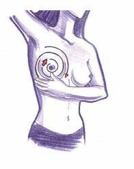 (4) Tahap 4 Pemeriksaan cairan diputing payudara Menggunakan kedua tangan, kemudian tekan payudara anda untuk melihat adanya cairan