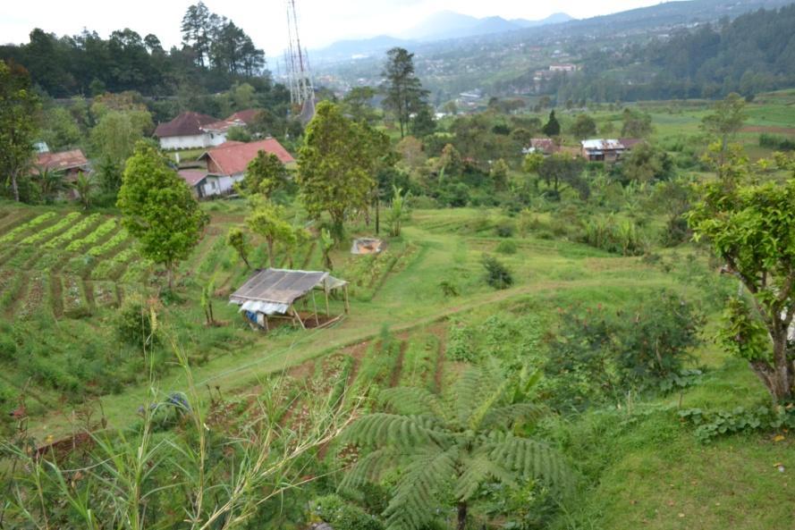 Gambar 2.7 Zona longsor di Ciloto, Jawa Barat 2.