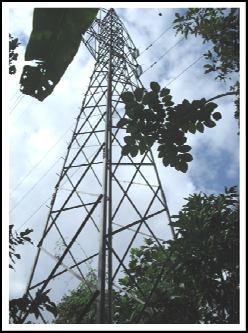 b. Jaringan Komunikasi Pengembangan pelayanan telekomunikasi telepon di Kecamatan Watulimo diutamakan untuk kegiatan pemerintahan, perdagangan,