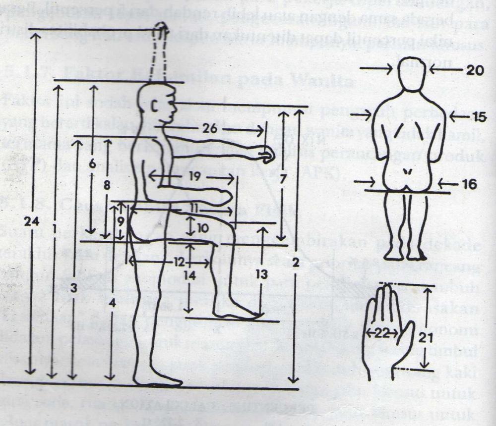Gambar 3. Tampak samping, belakang, dan telapak tangan Tabel 2. Pengukuran Posisi Samping No.