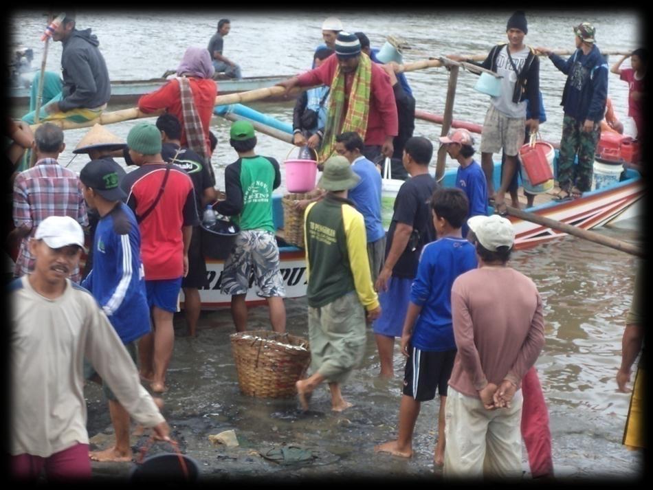 Jumlah Nelayan Kabupaten Sukabumi Tahun 2015 : 9,842 jiwa TPI Cikembang 210 TPI Cipatuguran 174 TPI Loji