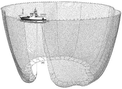 11 Sumber: FAO.org (2012) Gambar 1 Metode pengoperasian purse seine dengan satu kapal (one boat system) 2.