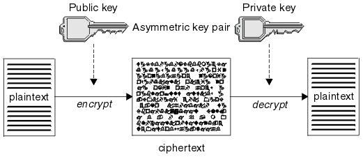 Terminologi Enkripsi (encryption): proses menyandikan plainteks menjadi cipherteks.