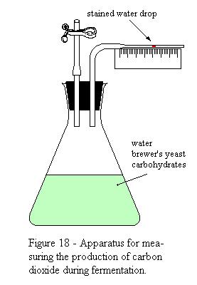 Metode Aktifitas Metabolik Metode ini di dasarkan pada asumsi bahwa produk metabolit tertentu, misalnya asam atau CO 2, menunjukkan jumlah