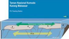 Karang Makassar (KM) Karang Makassar merupakan patch reef atau terumbu karang takad/gosong di timur Pulau Komodo.