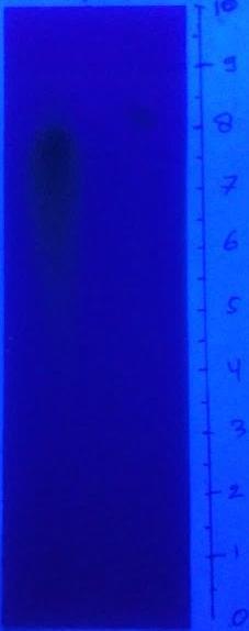 sinar UV kemudian dihitung R F -nya.
