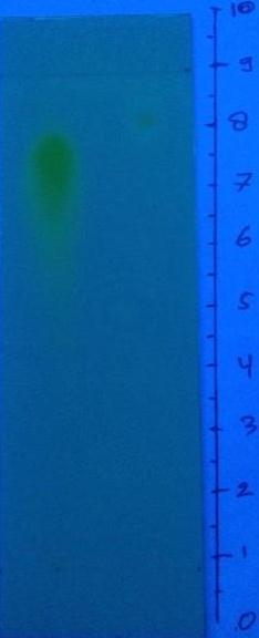 amoniak. keterangan: A. sinar tampak, B. UV 254 nm, C.