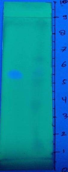 dragendorff keterangan: A. sinar tampak, B. UV 254 nm, C.
