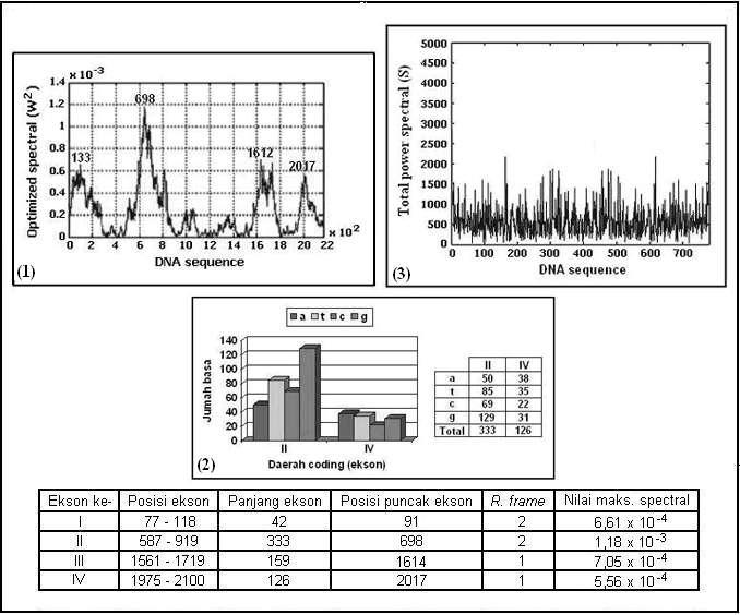 JETri, Tahun Volume 4, Nomor 2, Februari 2005, Halaman 45-60, ISSN 1412-0372 Gambar 8 Hasil dan analisis data DNA Oryza sativa (urutan data ke