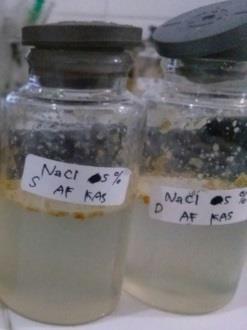 0,3% NaCl 3,0% dan Air Formasi