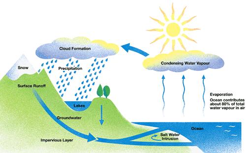Siklus Air Siklus fisis : air uap hujan ( air) Siklus biogeokimia: