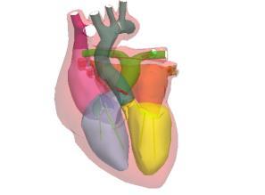 8 dapat dihitung dengan 0.8 dari nilai Puncak (MAP) (Winoto, 2008). 2.3 Jantung Jantung manusia merupakan jantung berongga yang memiliki dua atrium dan dua ventrikel.